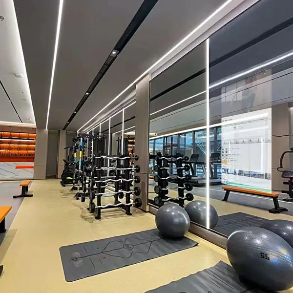 commercial gym smart mirror