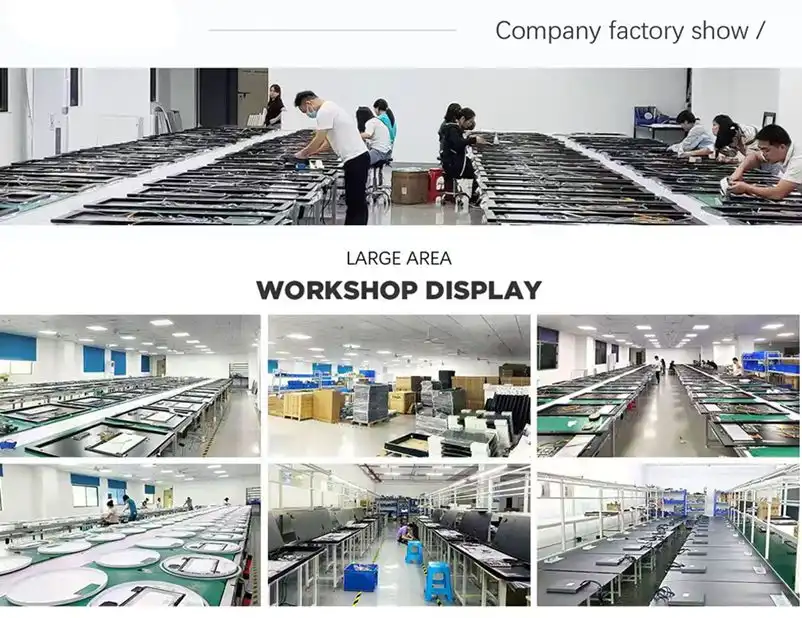 WiseMirror  workshop