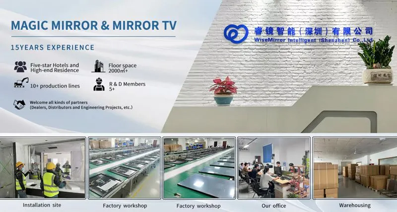 WiseMirror  company